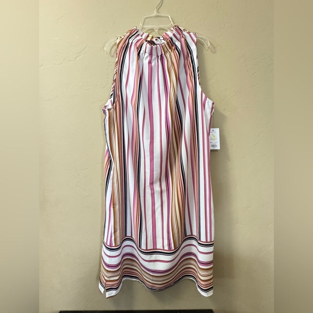 Apt. 9 Pink and Brown Striped Ladies Dress